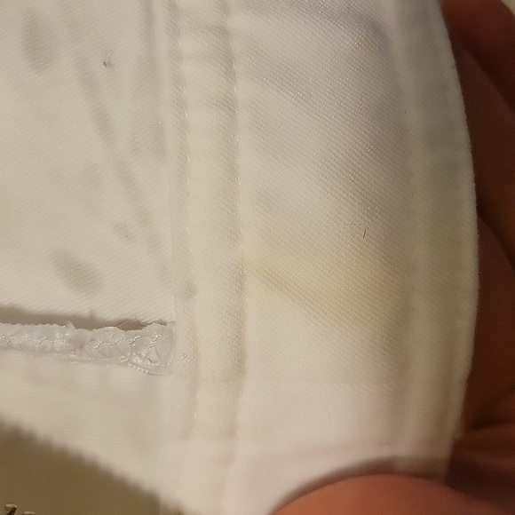 WHBM Lace Zip-Front Jacket - Picture 9 of 9